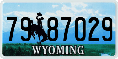 WY license plate 7987029