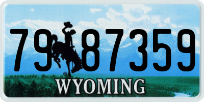 WY license plate 7987359
