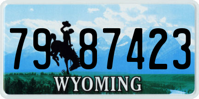 WY license plate 7987423