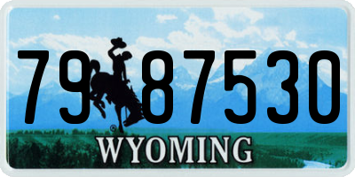 WY license plate 7987530