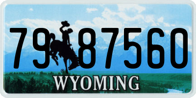 WY license plate 7987560