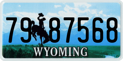 WY license plate 7987568