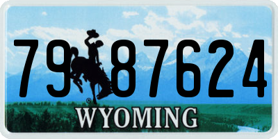 WY license plate 7987624
