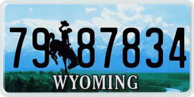 WY license plate 7987834