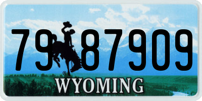 WY license plate 7987909