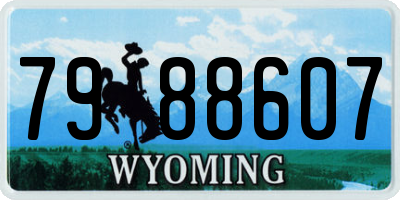 WY license plate 7988607