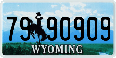 WY license plate 7990909
