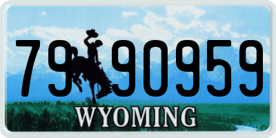 WY license plate 7990959
