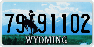 WY license plate 7991102