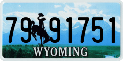 WY license plate 7991751