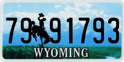 WY license plate 7991793