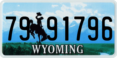 WY license plate 7991796