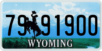 WY license plate 7991900