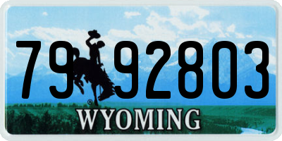 WY license plate 7992803