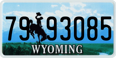 WY license plate 7993085