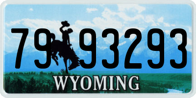 WY license plate 7993293