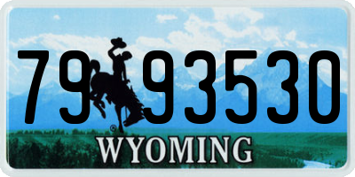 WY license plate 7993530