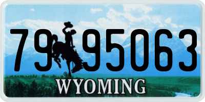 WY license plate 7995063