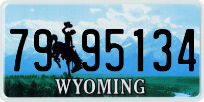 WY license plate 7995134