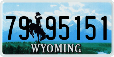 WY license plate 7995151