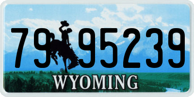 WY license plate 7995239