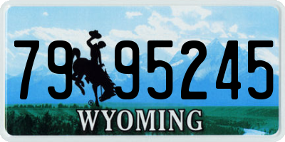 WY license plate 7995245