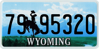 WY license plate 7995320