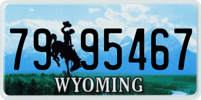 WY license plate 7995467