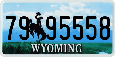 WY license plate 7995558
