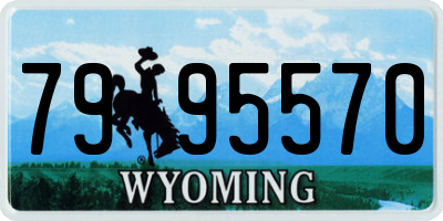 WY license plate 7995570