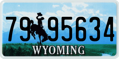 WY license plate 7995634