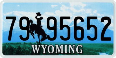 WY license plate 7995652