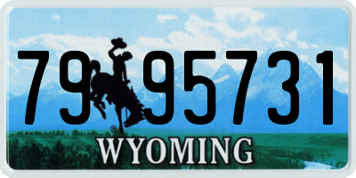 WY license plate 7995731