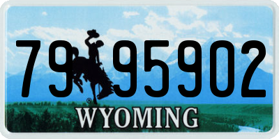 WY license plate 7995902