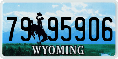 WY license plate 7995906