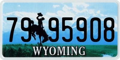 WY license plate 7995908