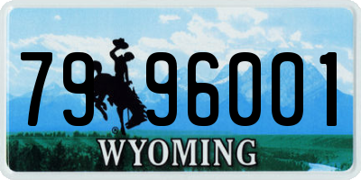 WY license plate 7996001