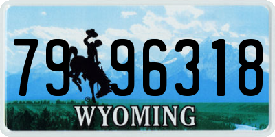 WY license plate 7996318