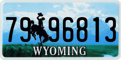 WY license plate 7996813