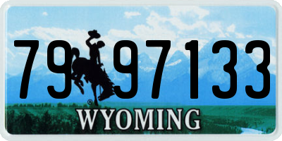 WY license plate 7997133