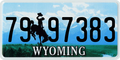 WY license plate 7997383