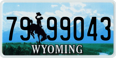 WY license plate 7999043