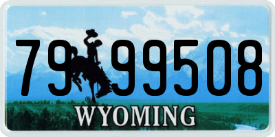 WY license plate 7999508