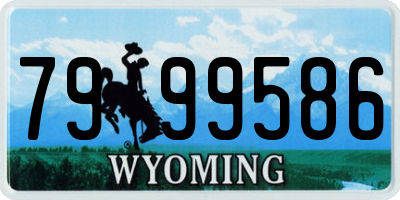 WY license plate 7999586