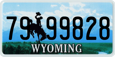 WY license plate 7999828