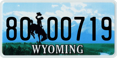 WY license plate 8000719