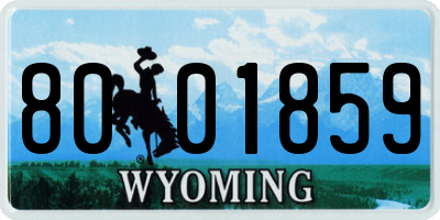 WY license plate 8001859