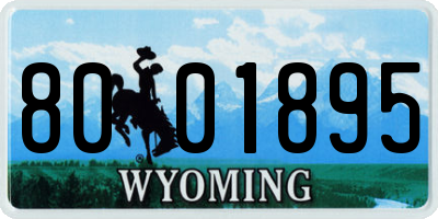 WY license plate 8001895