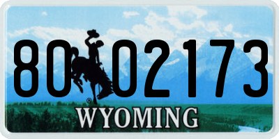 WY license plate 8002173