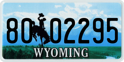 WY license plate 8002295